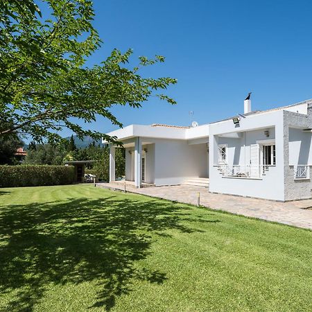 Villa Nefeli With Private Pool By Konnect Dassia  Buitenkant foto
